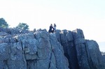 DSC00768.jpg