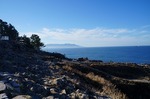DSC00778.jpg