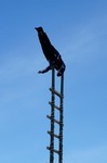 DSC00808.jpg