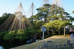 DSC00727.jpg