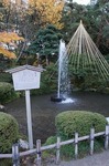 DSC00744.jpg