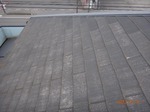 DSC04016.jpg