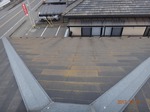 DSC04018.jpg
