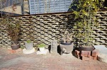 DSC04385.jpg
