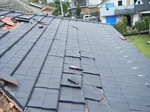 DSCF1525.jpg
