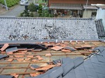 DSCF1526.jpg